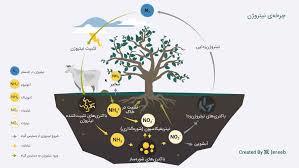 پروپوزال - اثر آبیاری و کود نیتروژن بر عملکرد، کارایی مصرف نهاده‌ها و کیفیت دانه ارقام کنجد